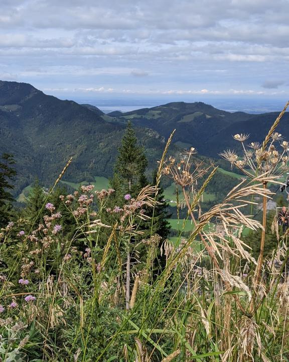 Unternberg Alm